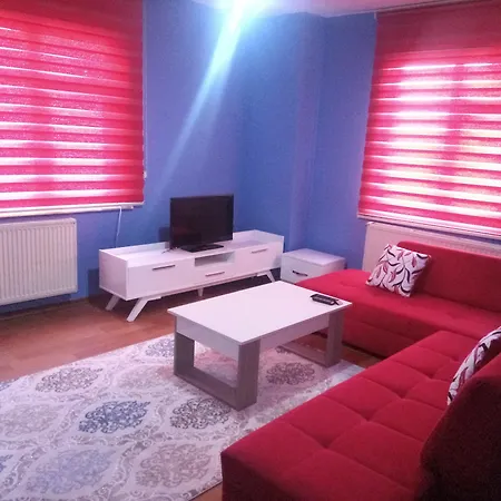 North * Samsun